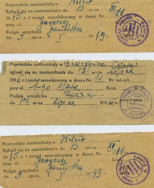 KKE 5314.jpg - Dok. Zaświadczenia meldunkowe potwierdzające poprzednie zameldowanie repatriantów przybyłych do Ostródy, Ostróda, 1946/1949 r.